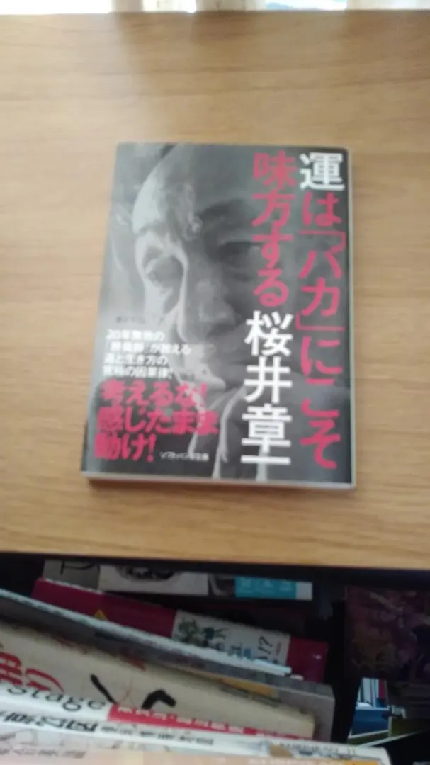 Thumbnail of Limited Time Offer! First Come, First Served! Luck Favors the "Fool" - Shoichi Sakurai