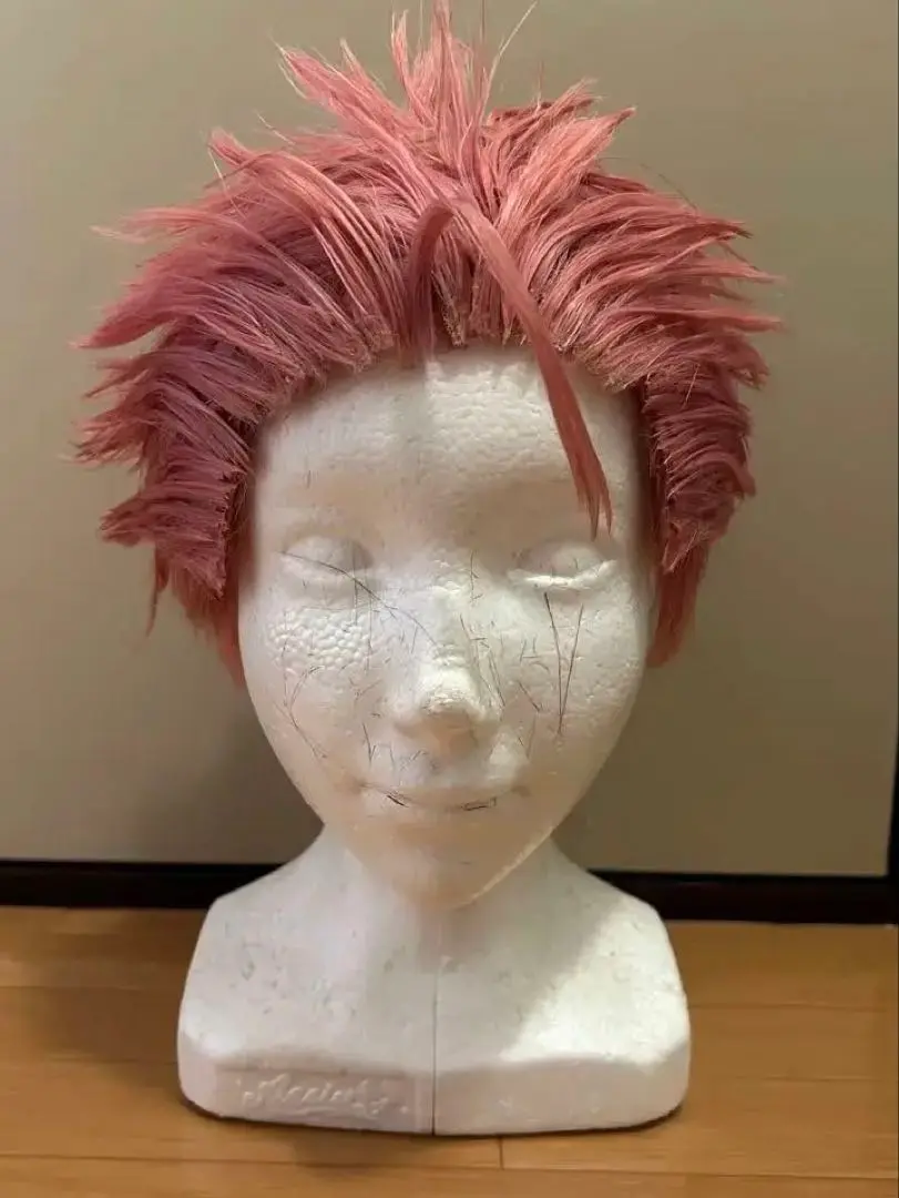 猿川慧コスプレウィッグ Amazon.co.jp: 実物撮影☆ 超人的シェアハウスストーリー