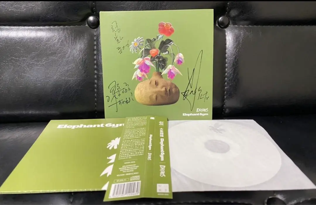 ELEPHANT GYM レコード新品未使用cinema staff LP