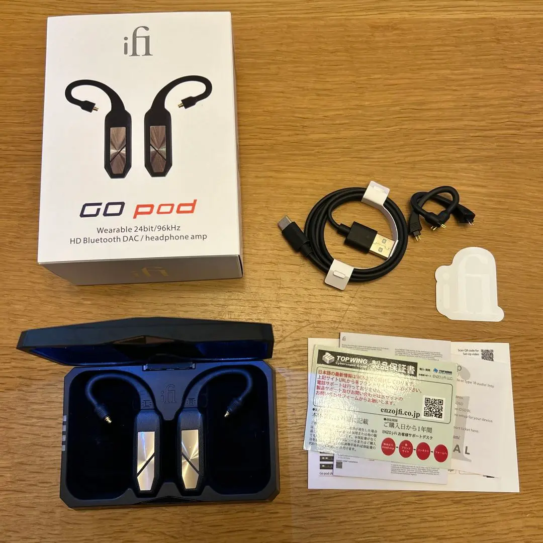 ifi audio GO pod 中古美品 Fit Ear 対応プラグ付き ifi audio GO pod 中古美品 Fit Ear 対応プラグ付き イヤホン