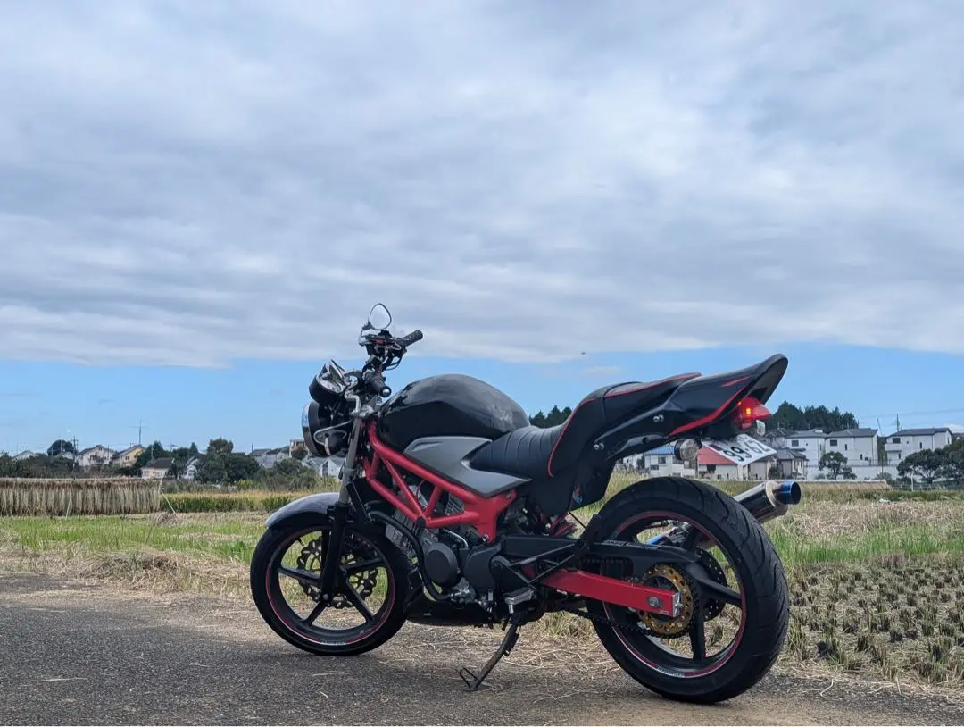 2025年最新】vtr250 アンダーカウルの人気アイテム - メルカリ