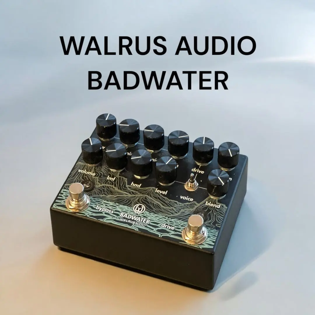 2025年最新】walrus audio badwaterの人気アイテム - メルカリ