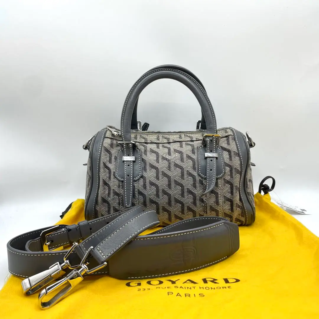 2025年最新】goyard ボストンの人気アイテム - メルカリ