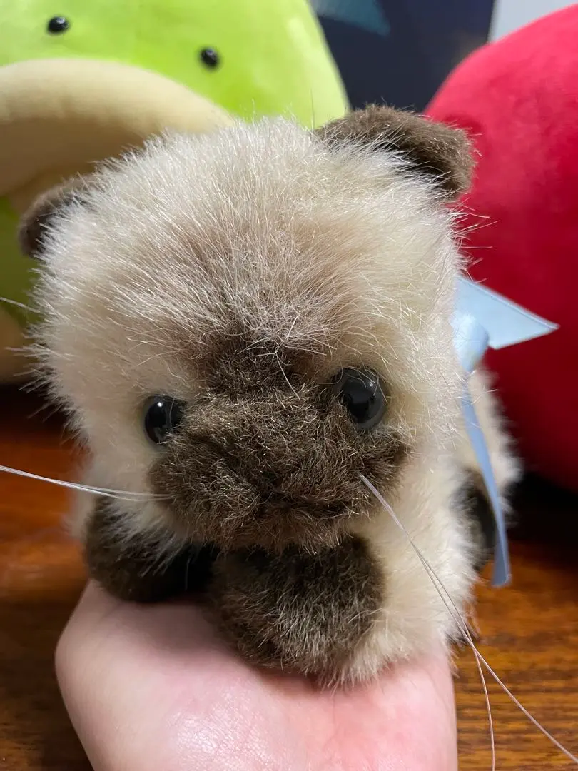 リーベ社　ねこ　ぬいぐるみ Amazon.co.jp: リーベ社 シャム猫 ねこ ぬいぐるみ Passy : おもちゃ