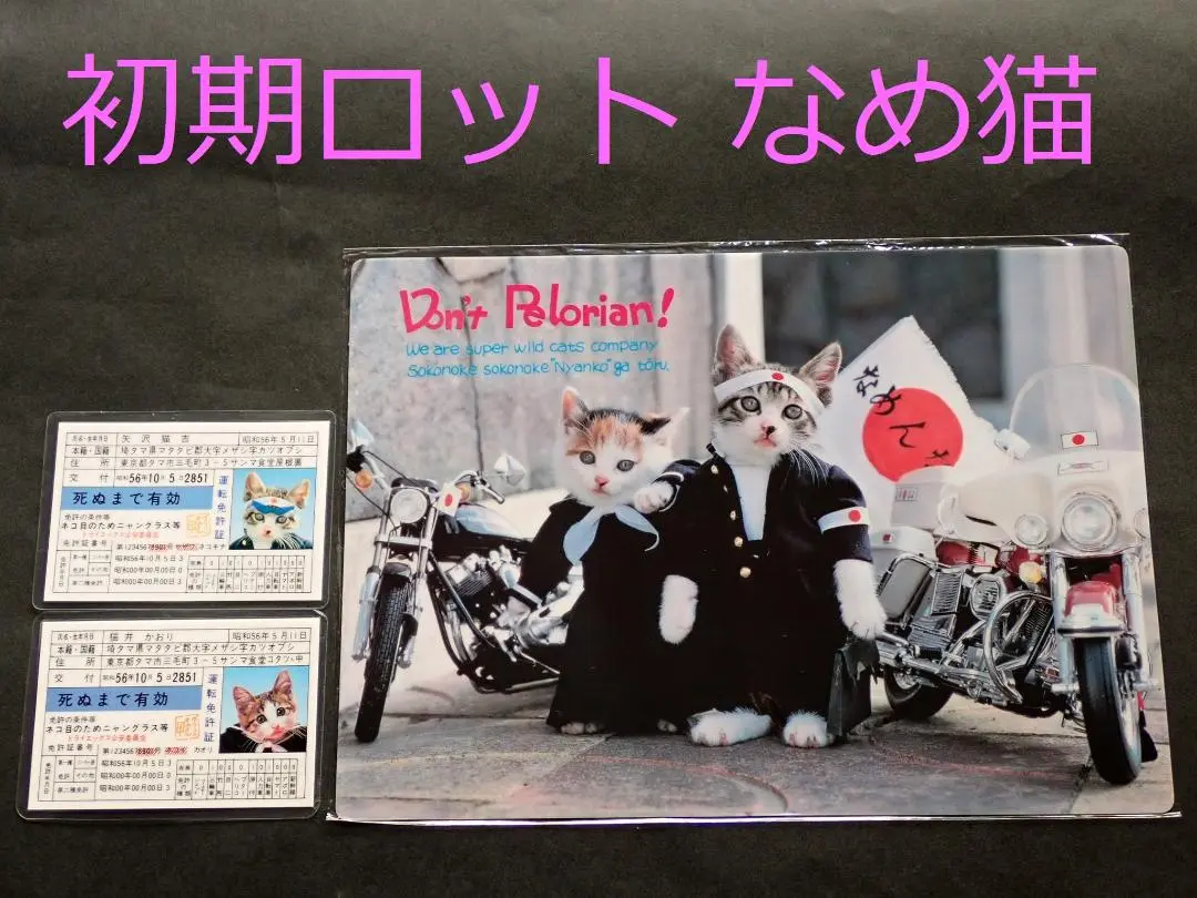 2025年最新】下敷き なめ猫の人気アイテム - メルカリ