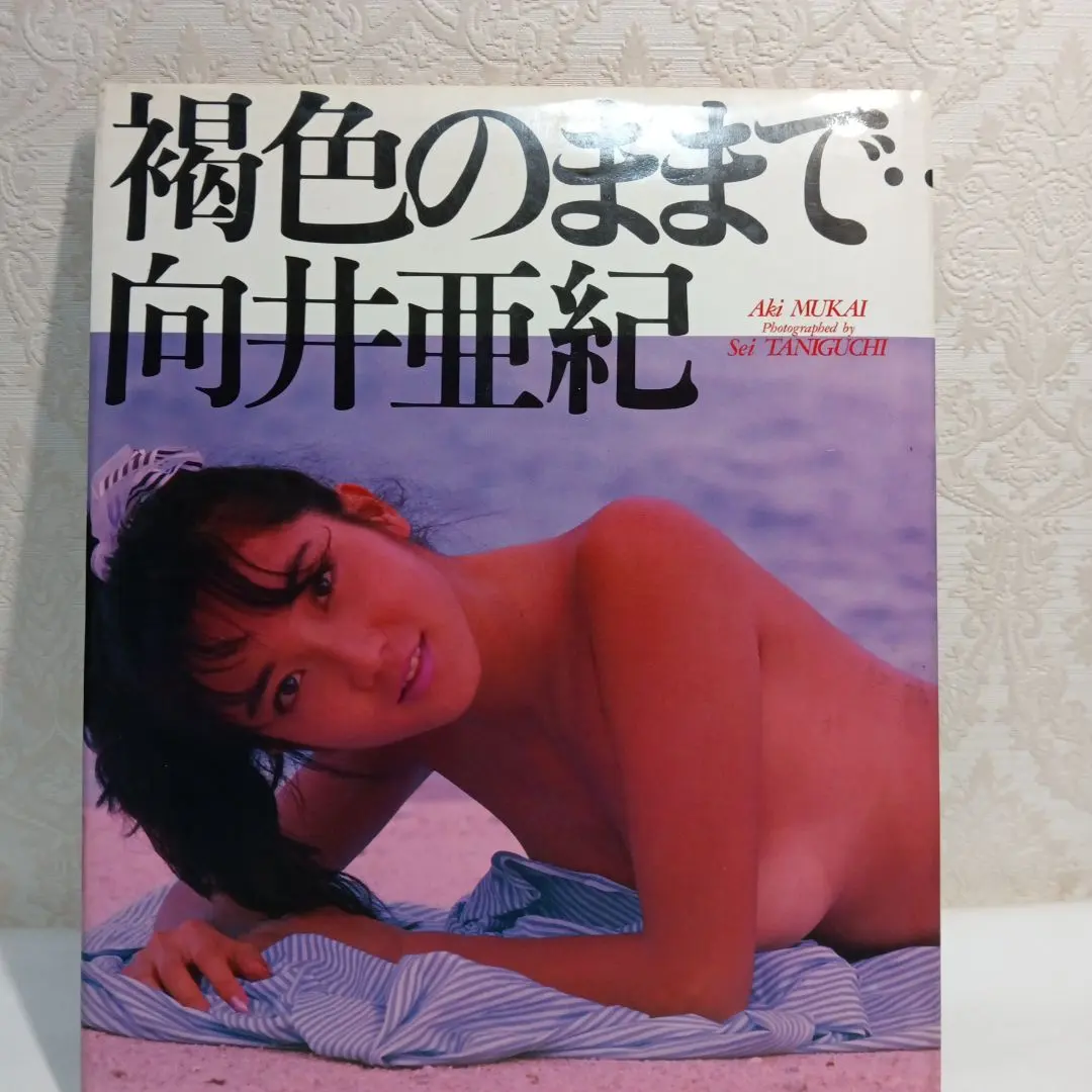 褐色的模樣 向井亞紀 寫真集 的縮圖