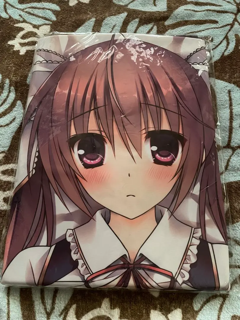 Thumbnail of Price reduction on popular artist's dakimakura cover (bulk sale)