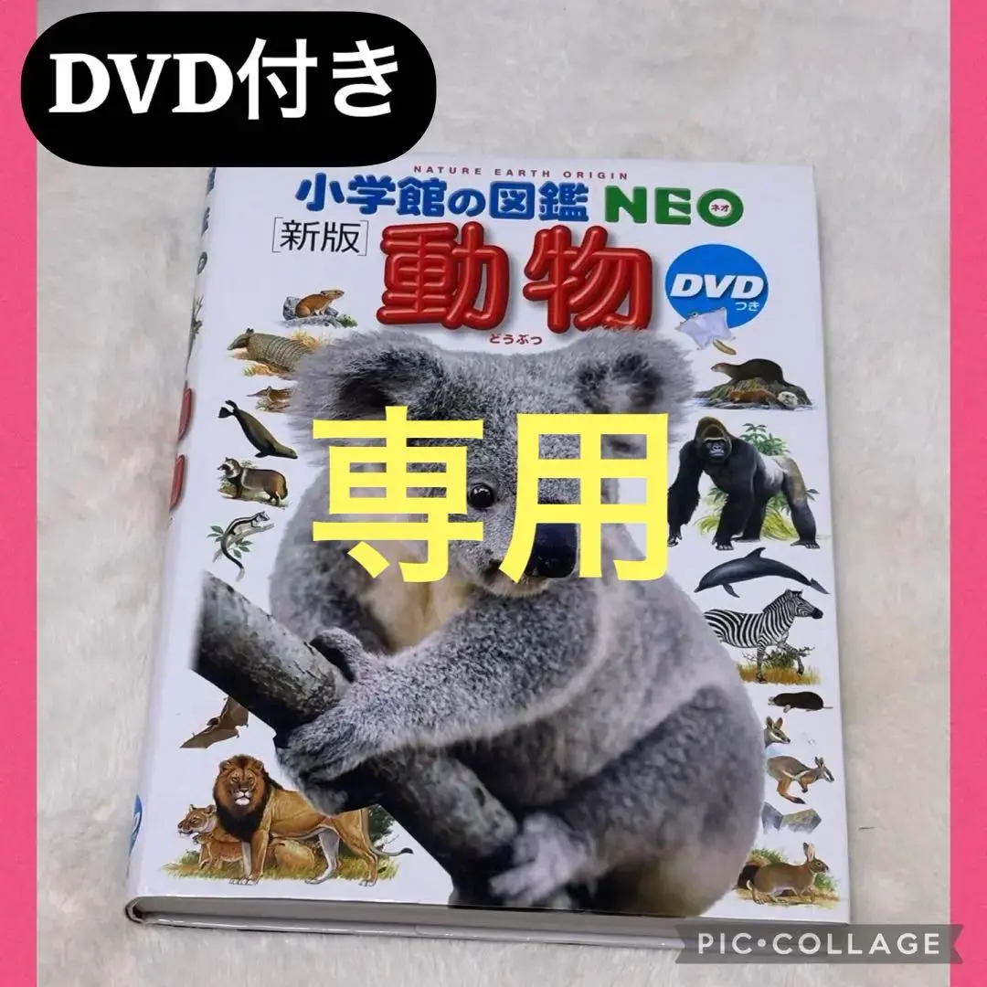 小学館の図鑑　NEO ドラえもんのび太のびっくりDVD 5枚セット ドラえもん・のび太のびっくり恐竜DVD 小学館の図鑑NEO【美品