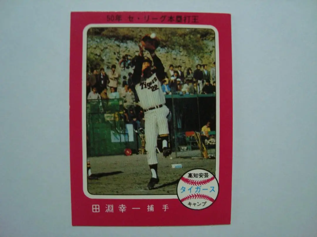 激レア‼️1973年 カルビー製菓 プロ野球物知りカード 田淵幸一 2025年最新】プロ野球カード田淵幸一1973年の人気アイテム