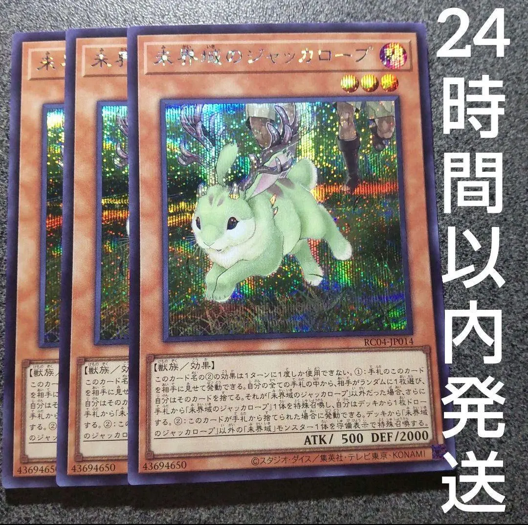 2025年最新】未開域の人気アイテム - メルカリ