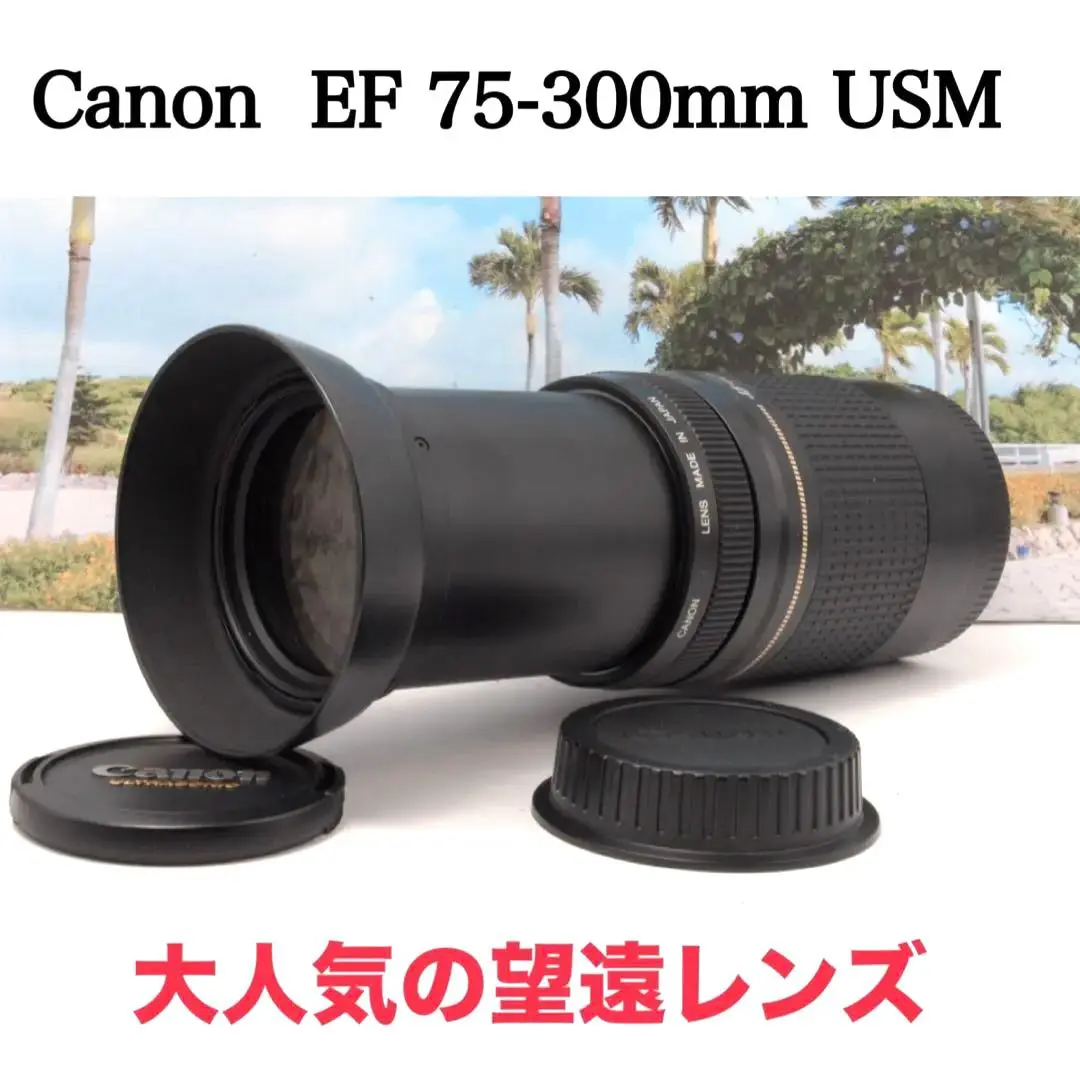 Thumbnail of ✨Shoots from afar✨ Canon EF 75-300mm F4-5.6 Ⅱ USM