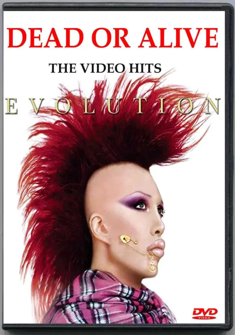レア盤 Dead Or Alive Evolution The Hits 2枚組 Dead Or Alive/Evolution: The Hits | Sinn音楽館