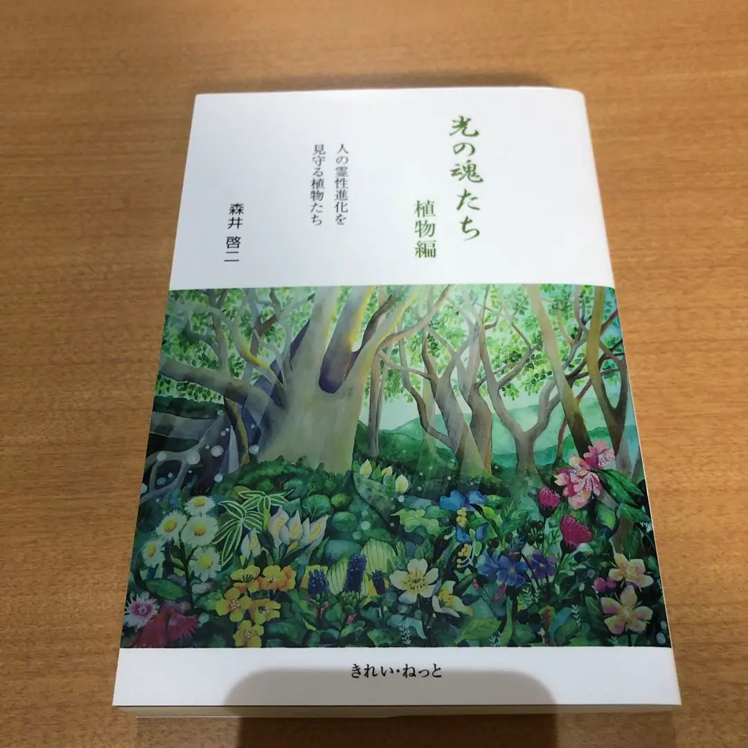 光の魂たち 動物編 人の霊性進化を助ける動物たち 森井啓一 Amazon.co.jp: 光の魂たち 動物編 人の霊性進化を助ける動物たち