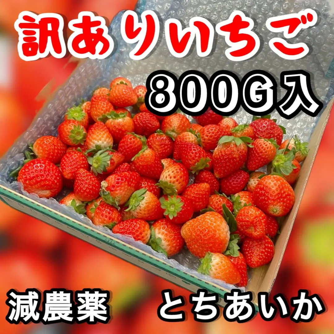 A品 朝採れ 新鮮 いちご とちあいか 減農薬 モリンガ カカオ 2箱