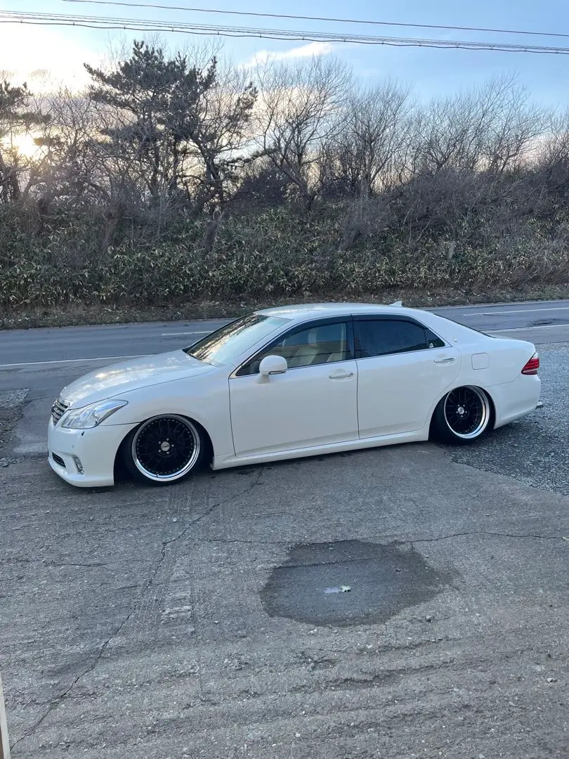 Seiya Mihara 専用SSR プロフェッサー MS1 18in ssrプロフェッサーms1 （Seiya Mihara 専用SSR プロフェッサー