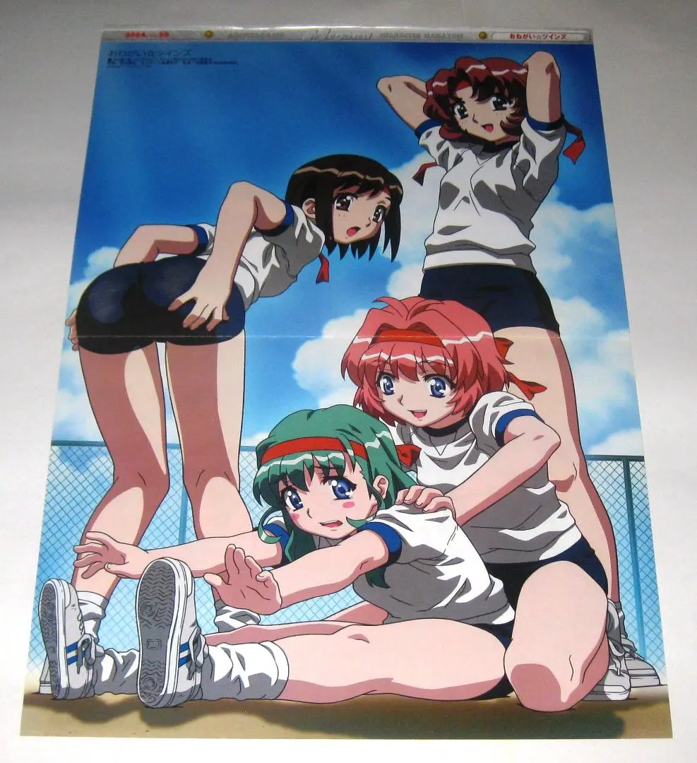 Thumbnail of A3 Pin-up / Onegai Twins & Hakyō Maid Team p00221