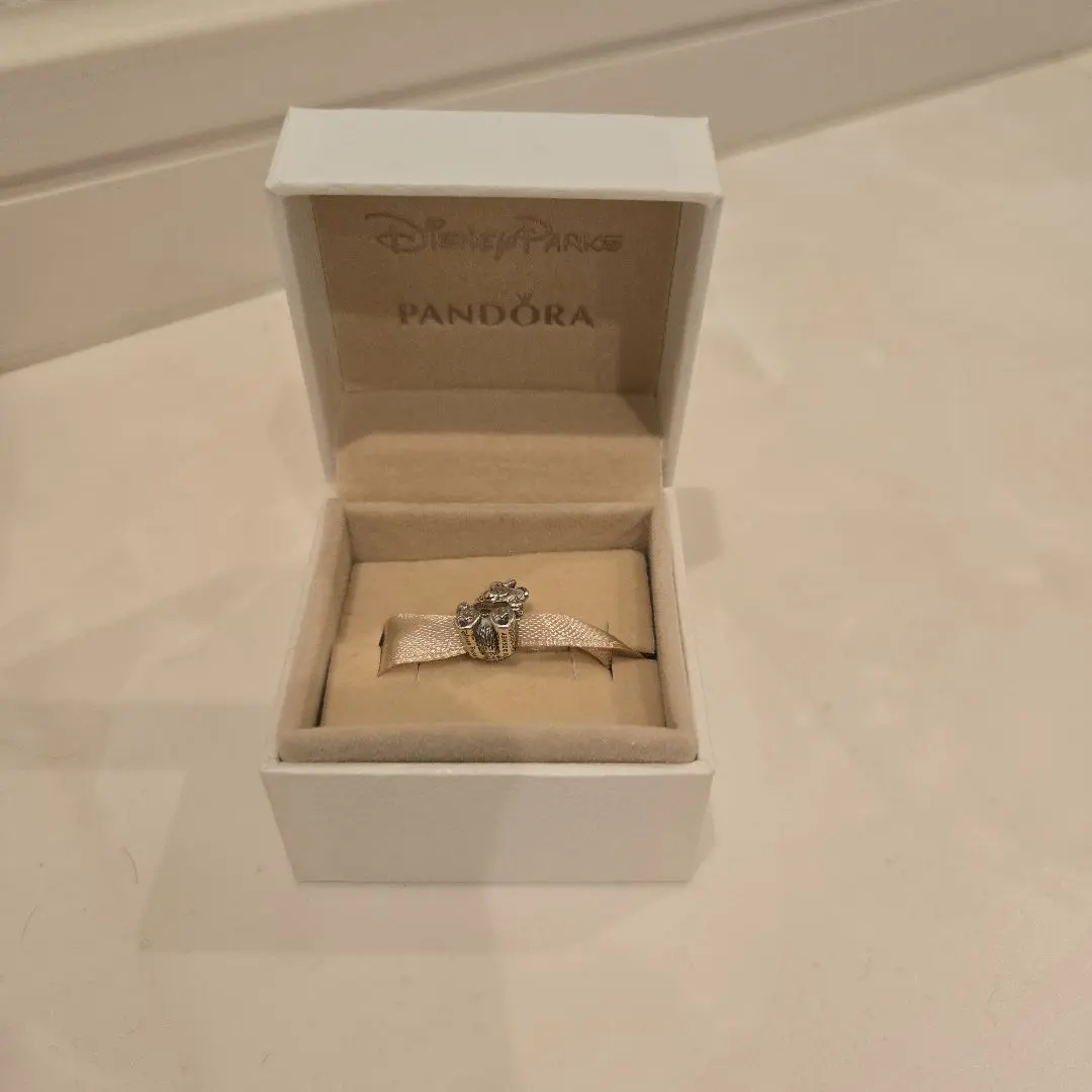 Candy様⭐︎Pandoraダッフィー＆シェリーメイ チャームブレスレット ディズニーリゾート×PANDORA】ダッフィー＆シェリーメイのチャーム