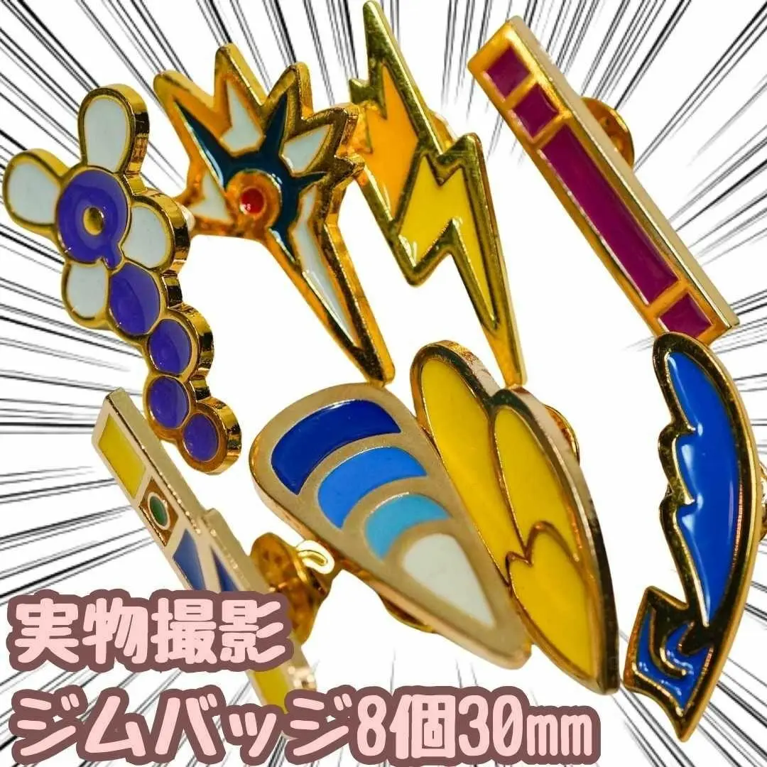 2025年最新】ジムバッジコレクションコンプリートセットの人気