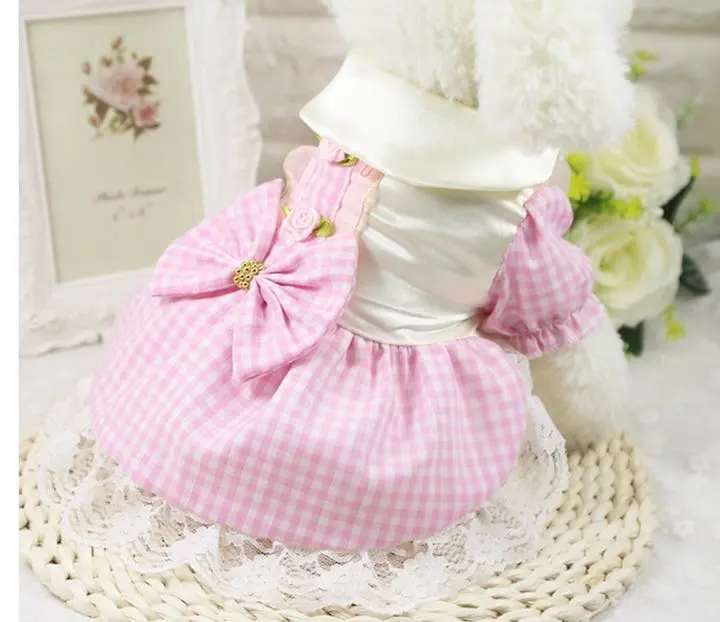 Thumbnail of Dog clothes