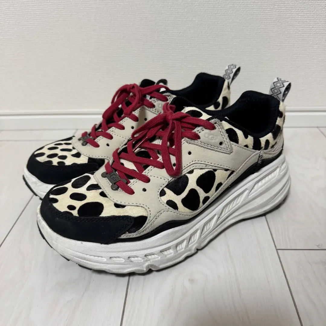 くぅ様④超超美品✨24⇒24.5靴下✨UGG✨DALMATIAN✨ダルメシアン