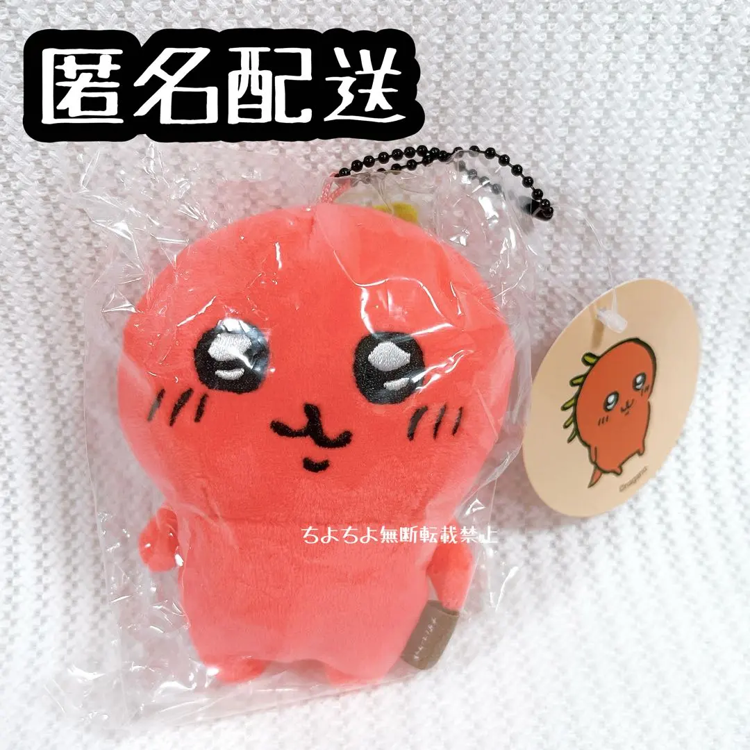 【匿名配送】長野市集 FRIENDS吉祥物 卓柏卡布拉 的縮圖