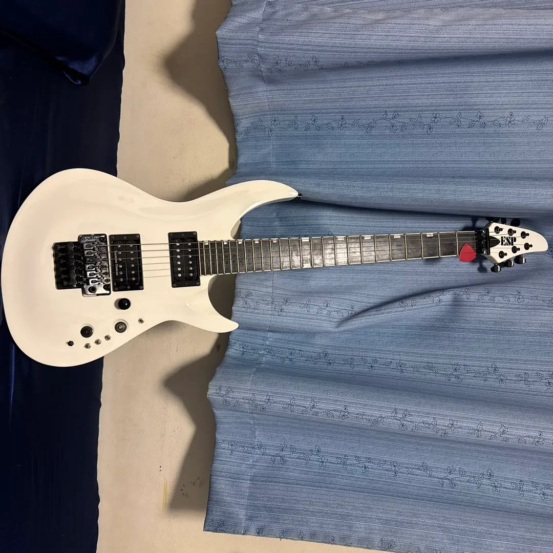 グラスルーツ ホライゾン ジャンク扱い G-HORIZON | ESP GUITARS