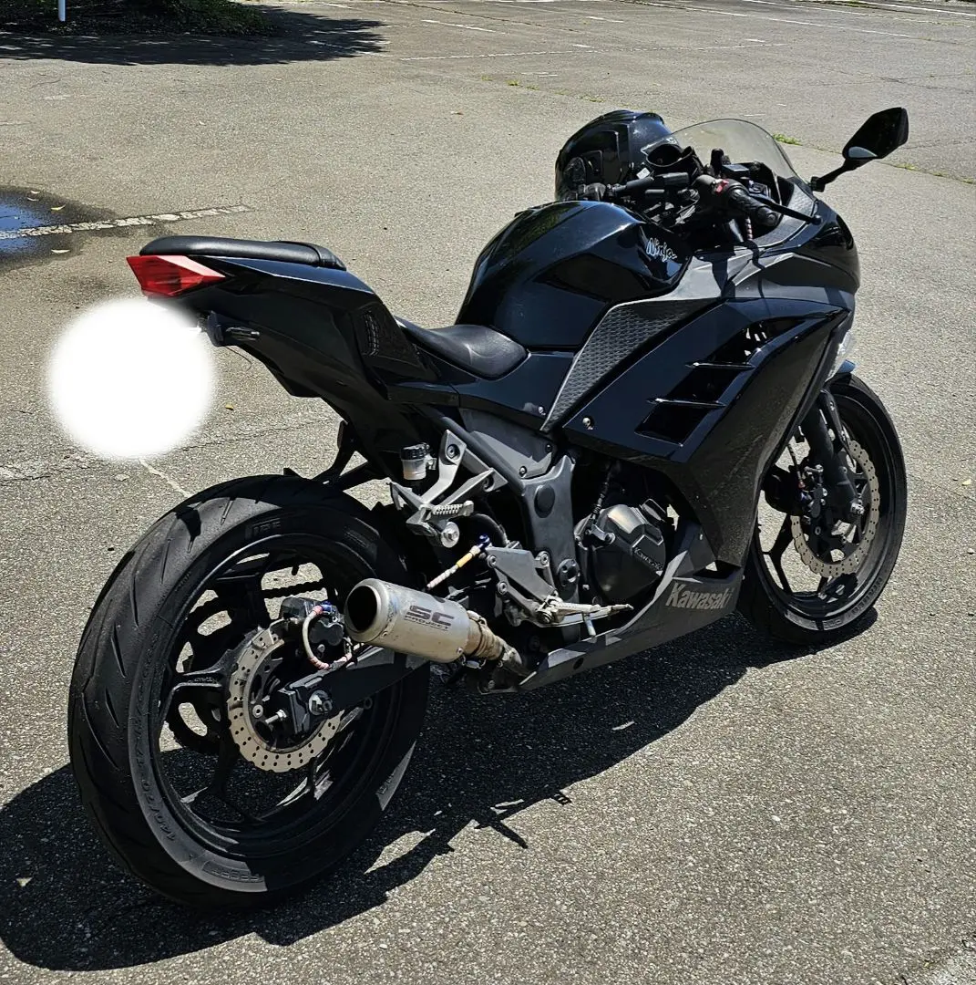 NINJA250 EX250L サイドカウル 左 割れ無!! ニンジャ250 EX250L 13-17年 純正サイドカバー左