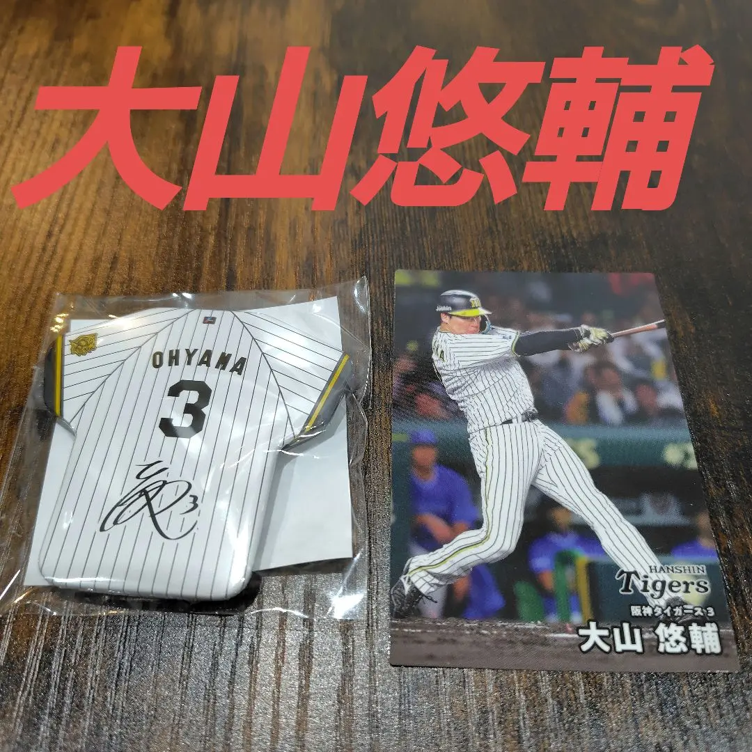 オールスターゲーム 2025 阪神タイガース 大山悠輔 直筆サインボール 試合球 オールスターゲーム 2025 阪神タイガース 大山悠輔 直筆サイン