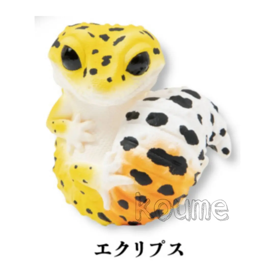 難あり 真工房 レア 狛はちゅ フトアゴ レオパ セット爬虫類 フィギュア サイズ：小 狛はちゅレオパ 色付きカラーversion | 真工房