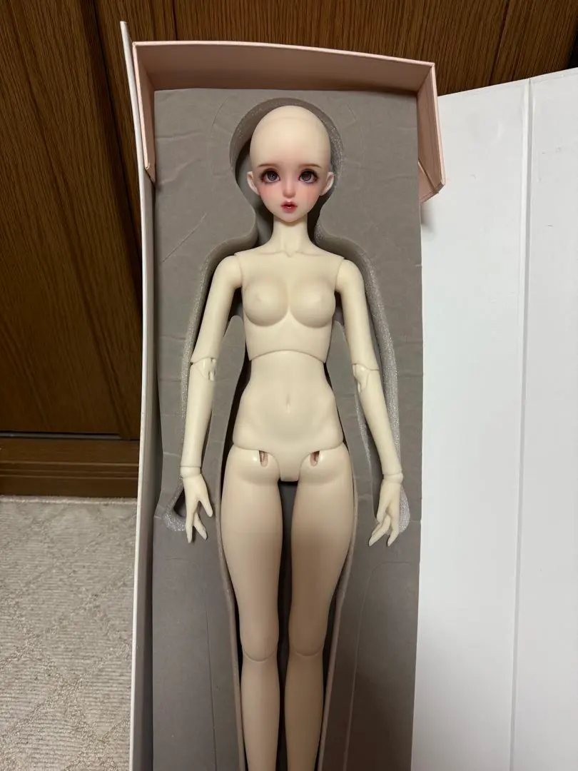Angell Studio シャルロッテ　ヘッド＆ボディ　キャストドール ☆残1セット☆【数量限定】フルセット(ボディメイクつき