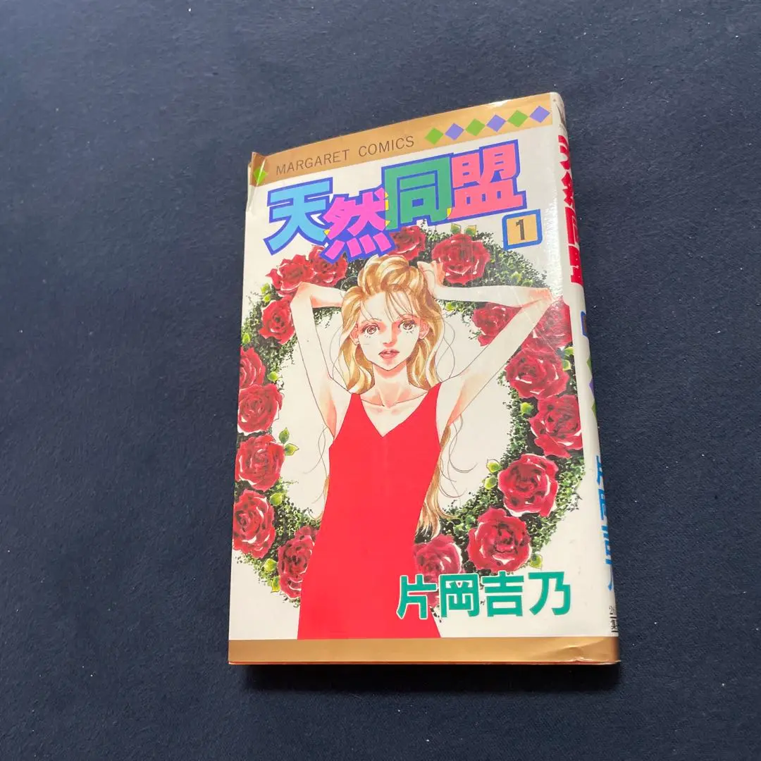 2025年最新】片岡吉乃の人気アイテム - メルカリ