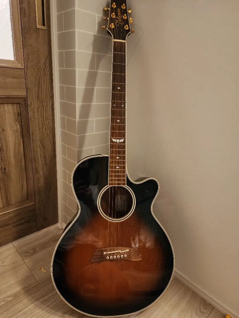 雛祭り割引　Takamine タカミネ　エレアコ　DSP110 ケースと弦おまけ 雛祭り割引Takamine タカミネエレアコDSP110 ケースと弦おまけ