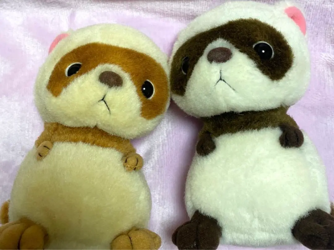 2025年最新】三英 ぬいぐるみ アライグマの人気アイテム - メルカリ