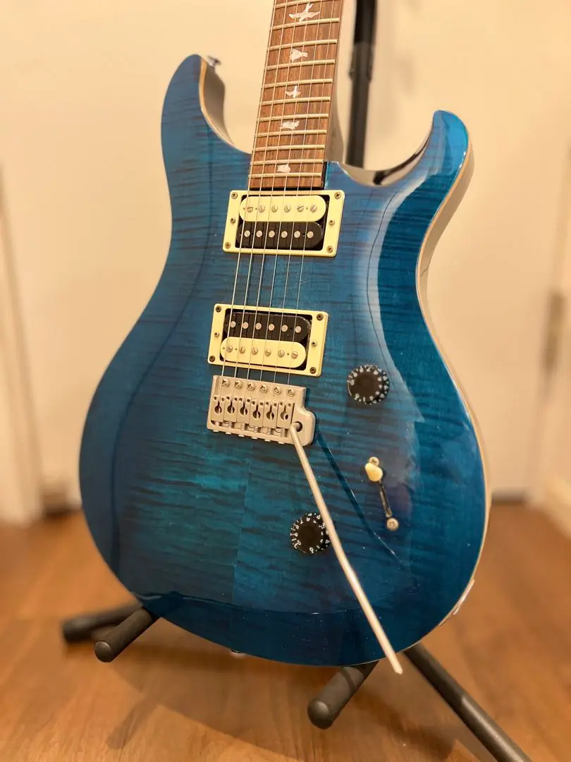 2025年最新】prs se custom 24 中古の人気アイテム - メルカリ