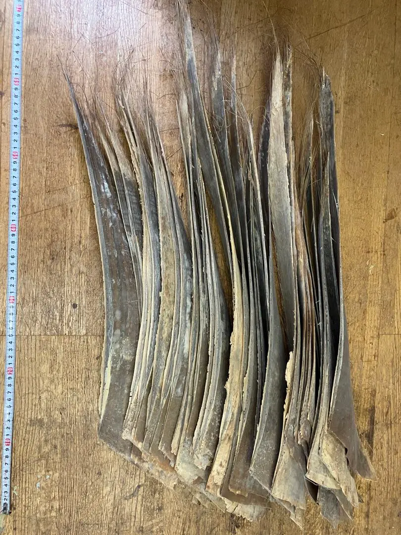 ヒデ様専用 お誂え 小継クジラ穂先タナゴ竿 フィッシング