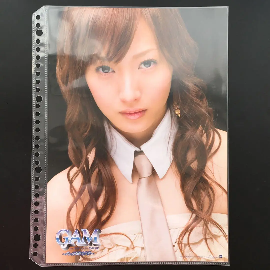 藤本美貴　　ミキティー       販促非売品ポスター２枚セット 藤本美貴 ミキティー 販促非売品ポスター2枚セット（【2025年