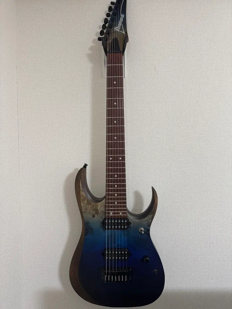 2025年最新】dimarzio titanの人気アイテム - メルカリ