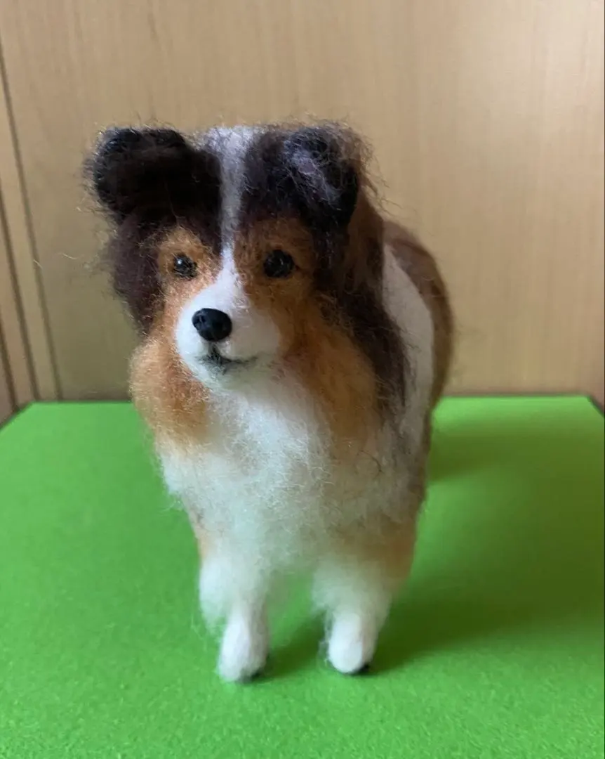 羊毛フェルト シェットランドシープドッグ　シェルティ momoichigo 羊毛フェルト シェルティ