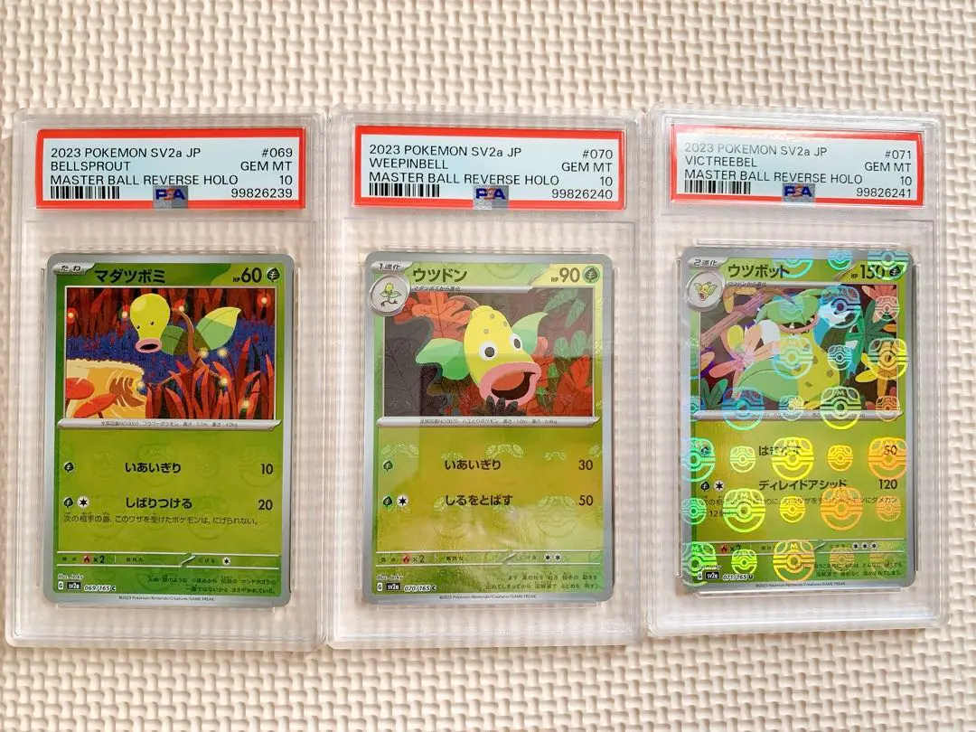 psa10 マダツボミ　マスターボール 2025年最新】マダツボミ マスターボールの人気アイテム - メルカリ