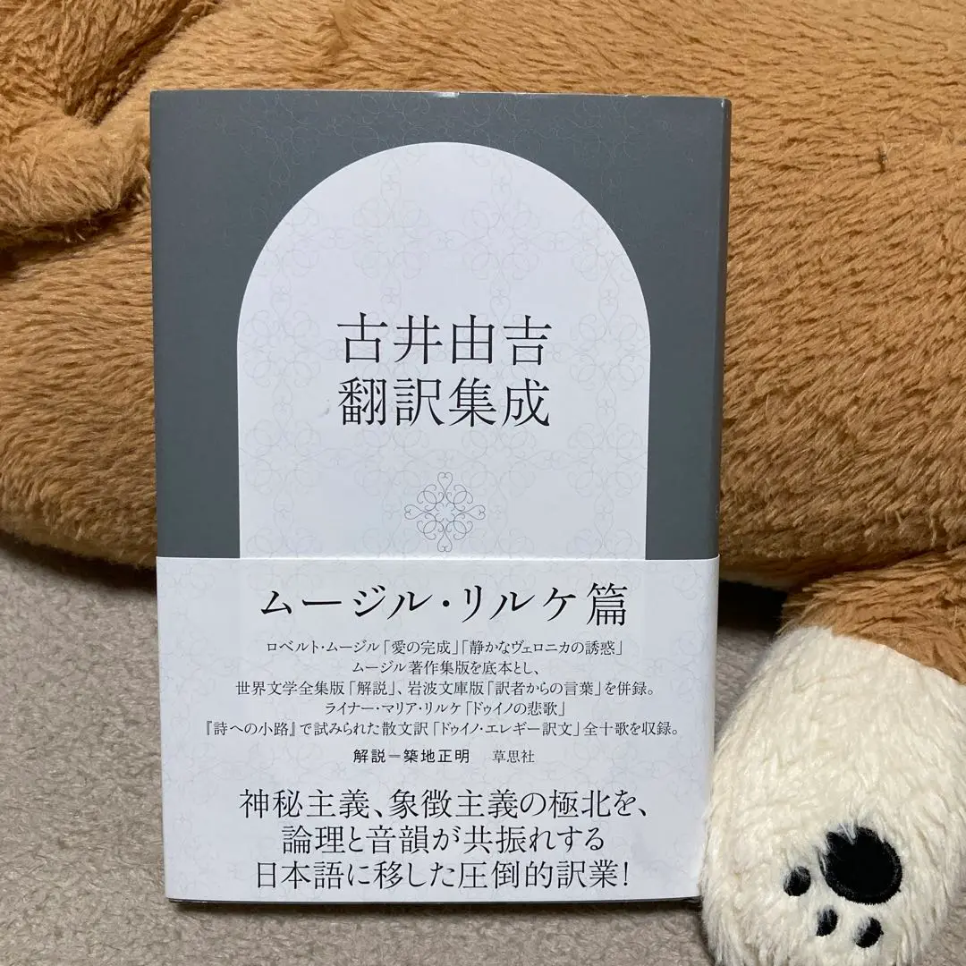【中古】 ムージル著作集 第５巻/松籟社/ローベルト・ムージル 2025年最新】ムージル著作集の人気アイテム - メルカリ
