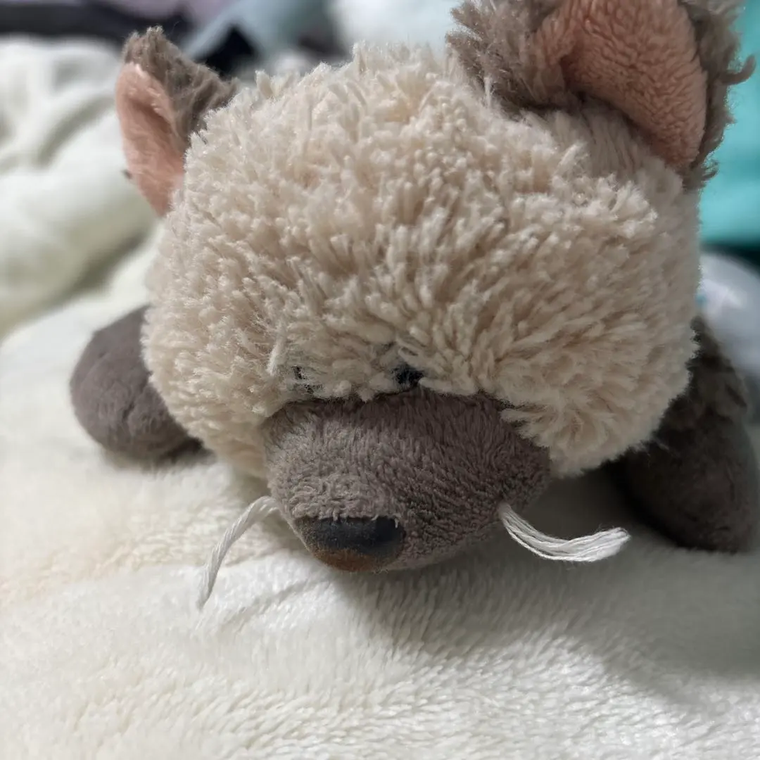 nici ヒマラヤン 20日まで Amazon.co.jp: ニキ ペンケース NICI ヒマラヤン PLAZA : 文房具
