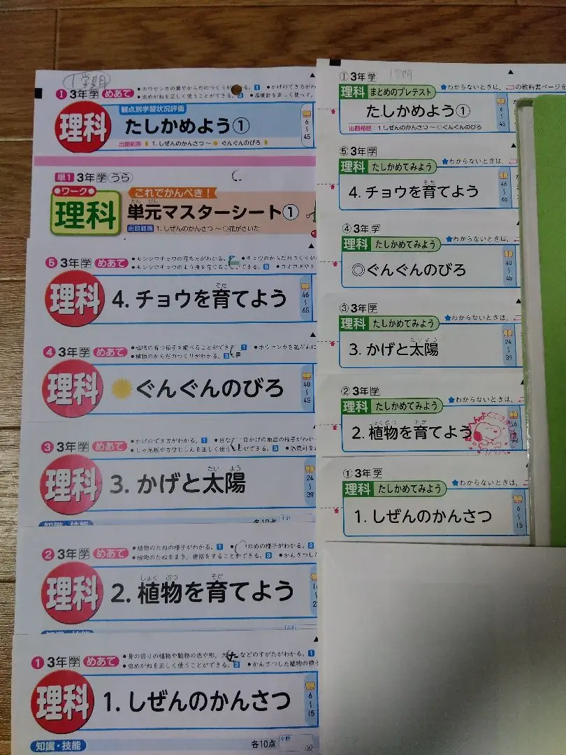 小6理科　カラーテスト 小学校最新2024~2025年 14枚両面青葉出版 Amazon.co.jp: 6年生 小6 カラーテスト 解答 国語算数理科社会