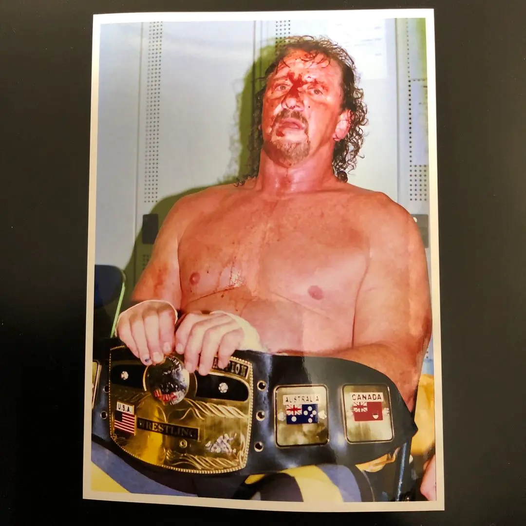 テリー☆ファンク　プロレスフィギュア NWAベルト 最適な材料 Amazon.co.jp: テリー☆ファンク プロレスフィギュア