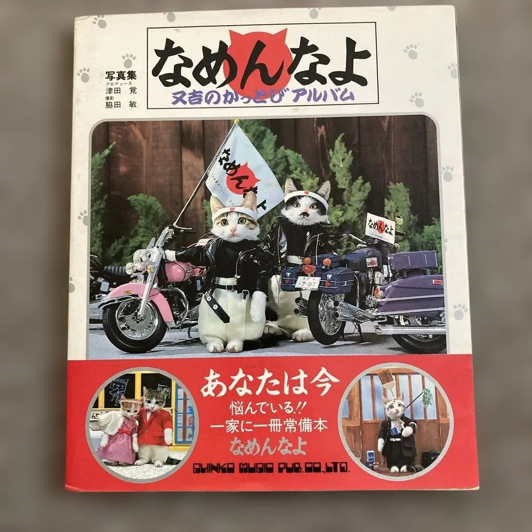 【希少】なめんなよ 又吉のかっとびアルバム 最新情報 なめんなよ 又吉のかっとびアルバム(写真集) (立東舎