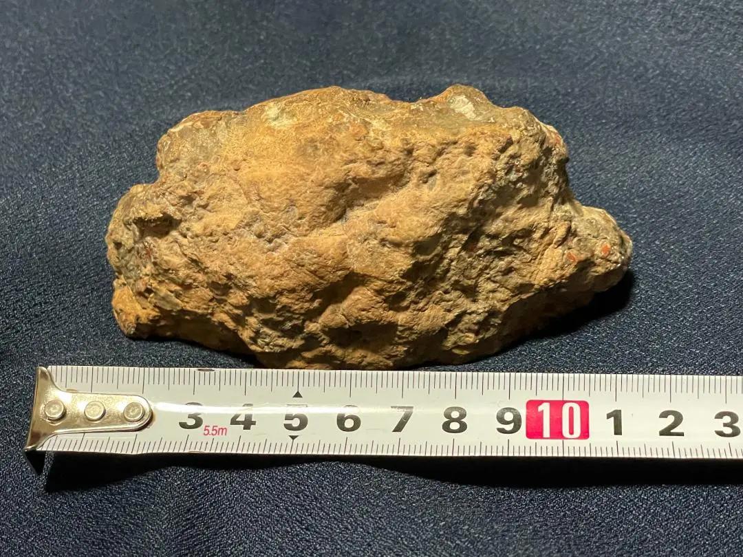 特大化石大型肉食恐竜の糞石多彩メノウ化標本鉱物原石鑑賞石銘石