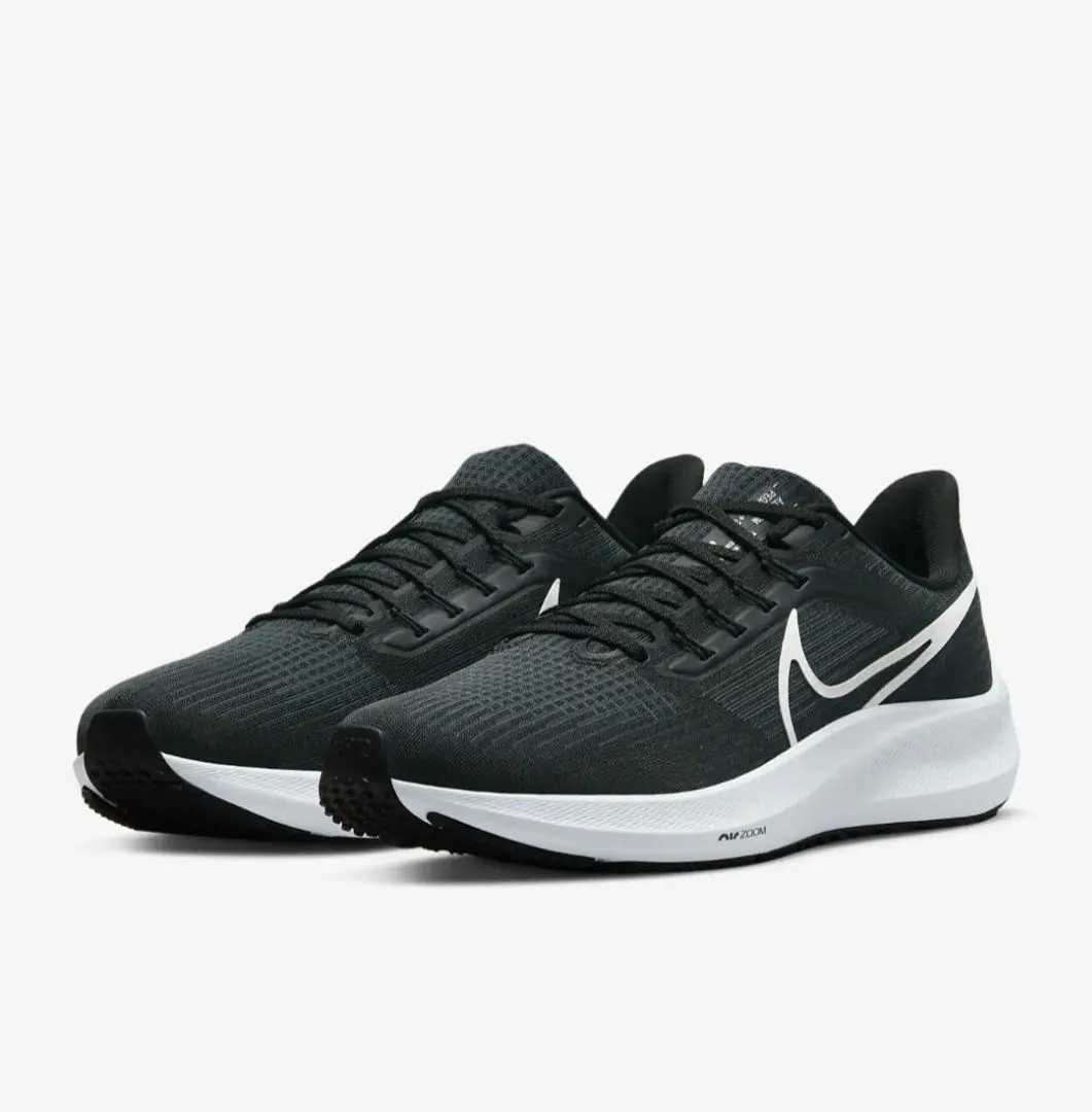 NIKE 耐吉 Pegasus 39 DH4071-001 PEGASUS 的縮圖