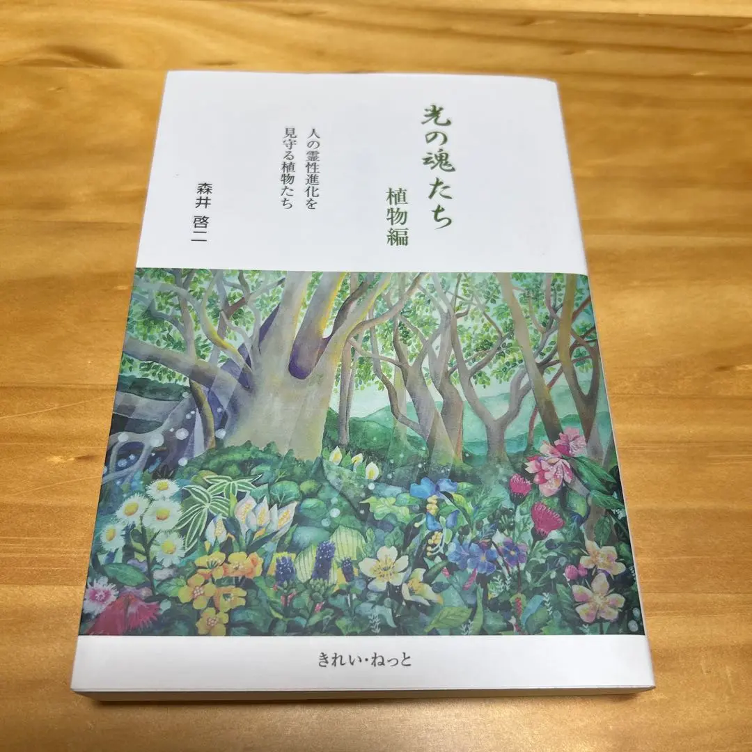 光の魂たち 植物編 人の霊性進化を見守る植物たち 光の魂たち 植物編 人の霊性進化を見守る植物たち | 森井啓二