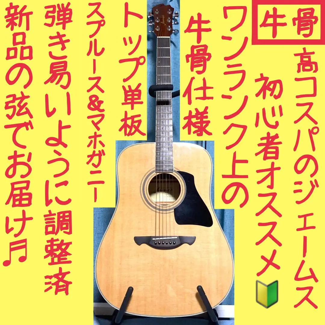 【超美品】James アコースティックギター JD400/NAT 2025年最新】JD400 NATの人気アイテム - メルカリ