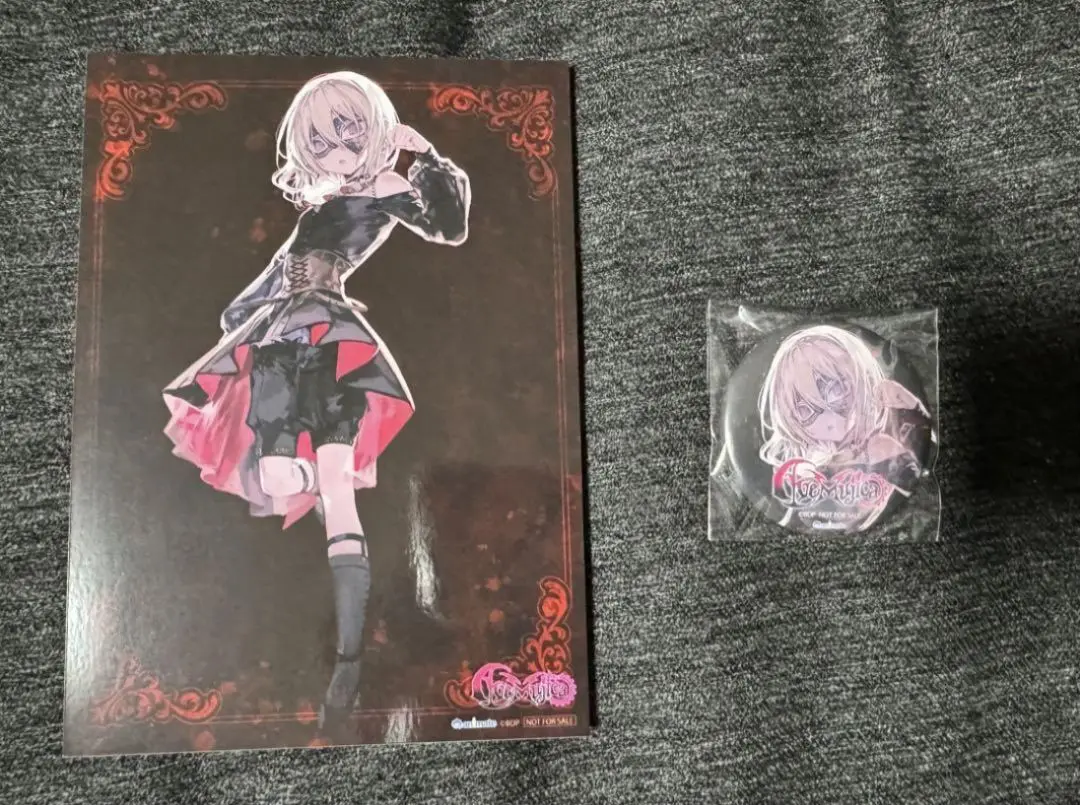 アモーリス　缶バッジ　Alea jacta est とらのあな アモーリス 缶バッジ Alea jacta est とらのあな アモーリス 缶