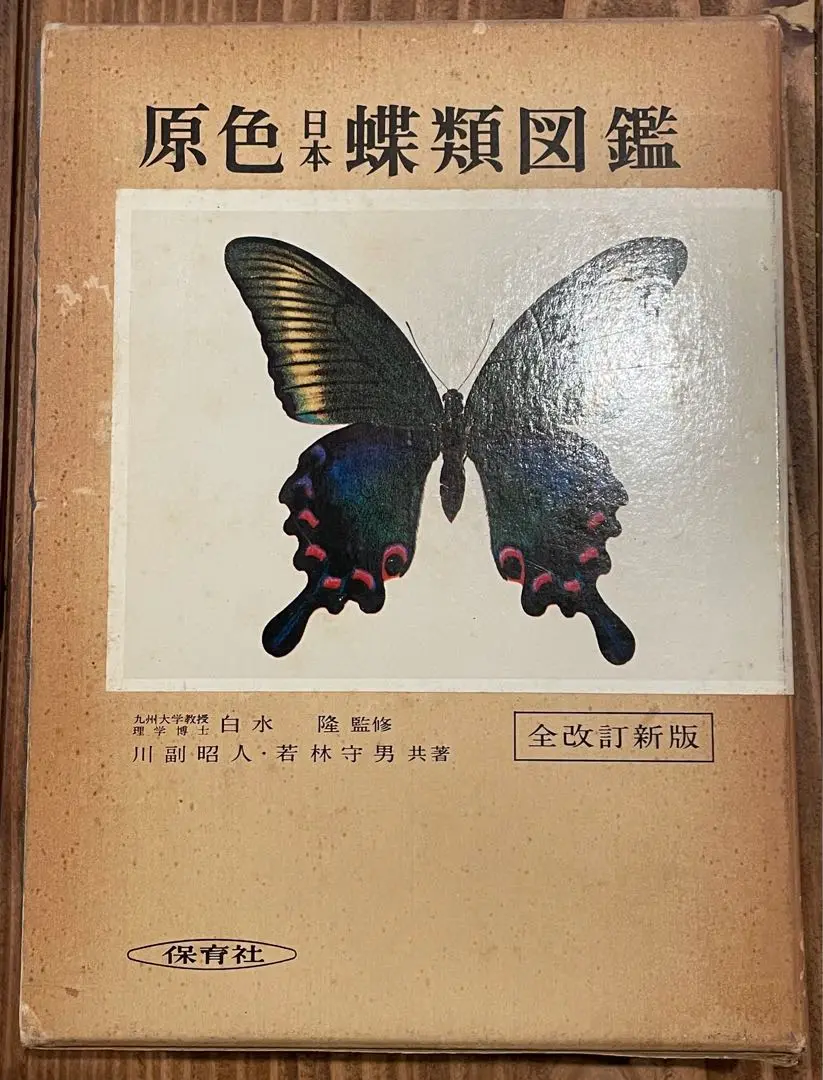 原色日本蝶類図鑑＋原色日本蝶類生態図鑑1,2,3 ４冊セット　保育社 原色日本蝶類生態図鑑 1 (保育社の原色図鑑 64) | 福田 晴夫 |本